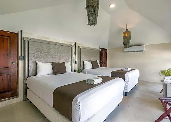 Hotel Banana Boutique 3*