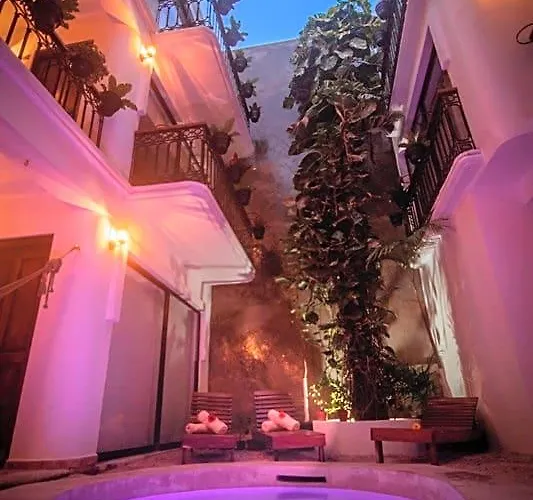 Hotel Banana Boutique Playa del Carmen